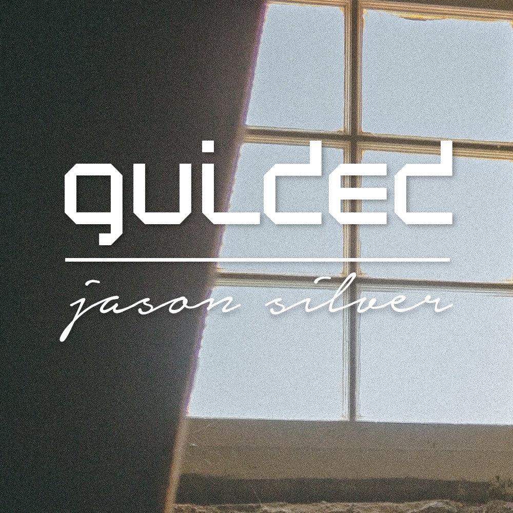 Album cover for Guided